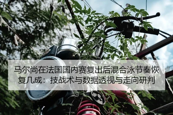 马尔尚在法国国内赛复出后混合泳节奏恢复几成：技战术与数据透视与走向研判